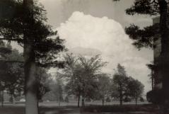 thumbs/SCENE 14 JOYCE KILMER'S TREES ON CAMPUS.jpg